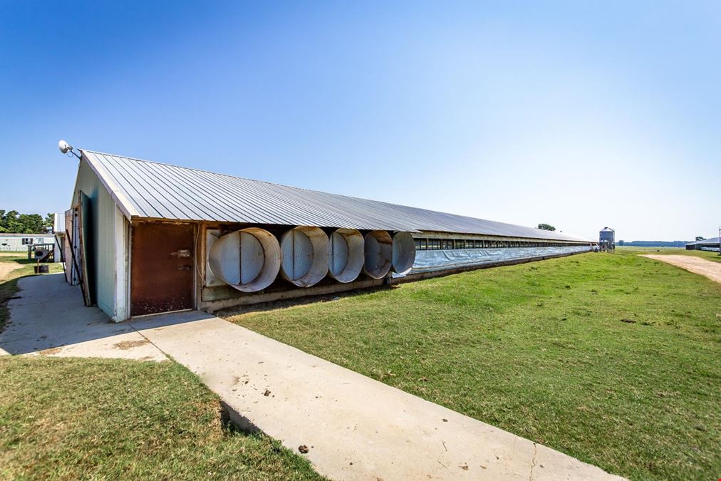 Hope Arkansas Chicken Farm