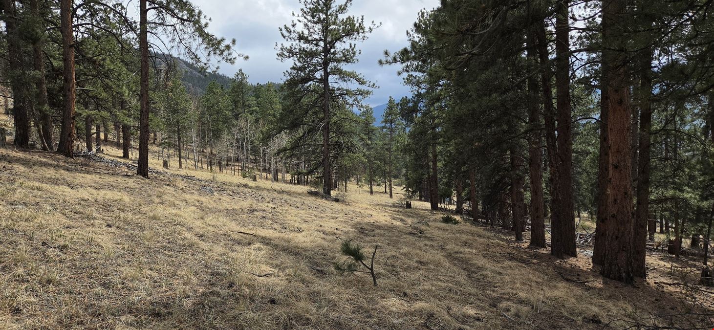 15+ Acres of Commercial Land
