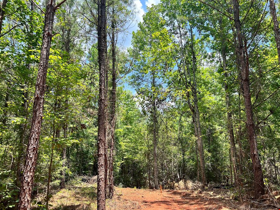 Woods Road Farm Tracts