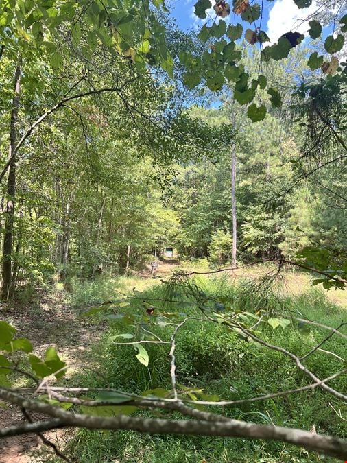 Partridge Creek 245