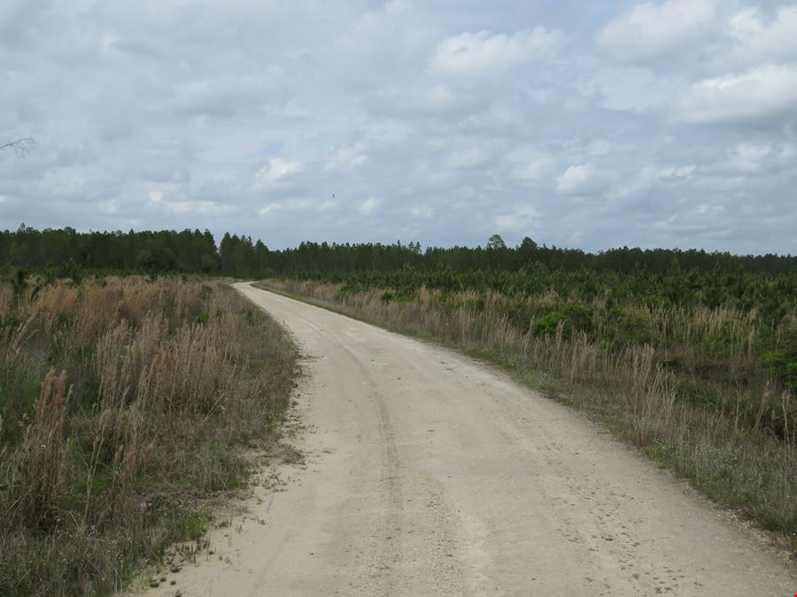 Otter Creek West Tract