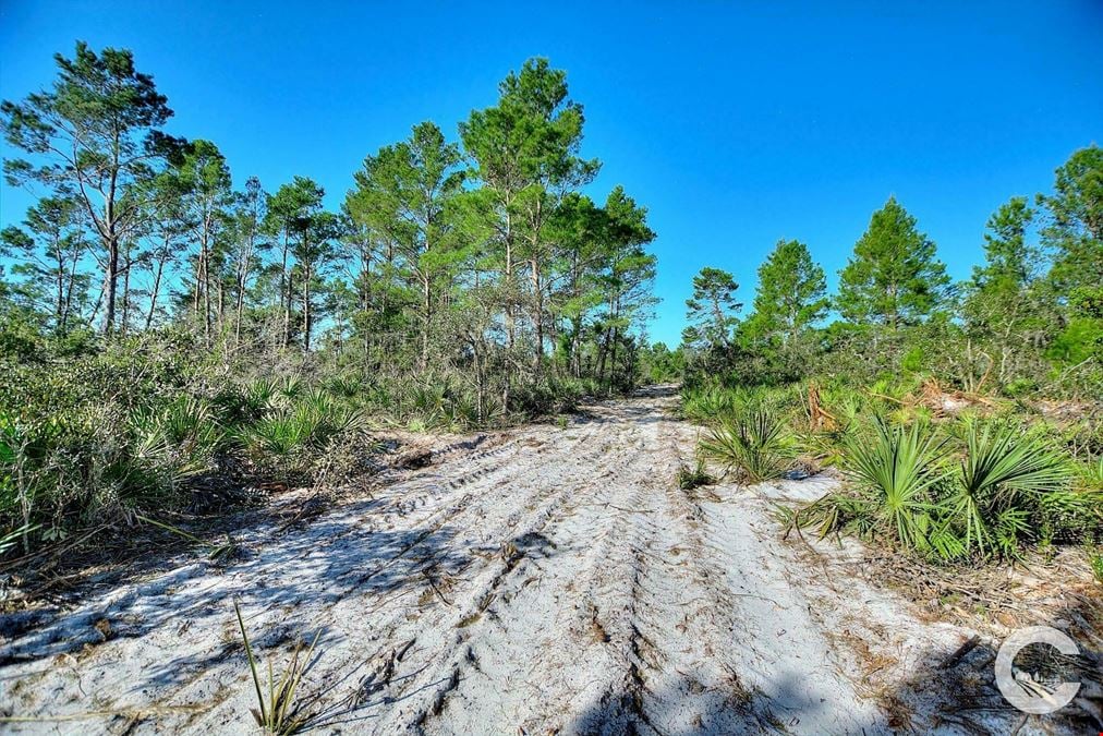 6.34 Acre Residential Homesite in Frostproof, FL