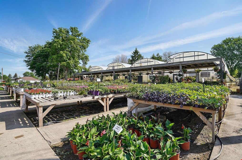 Robin's Nursery & Greenhouse