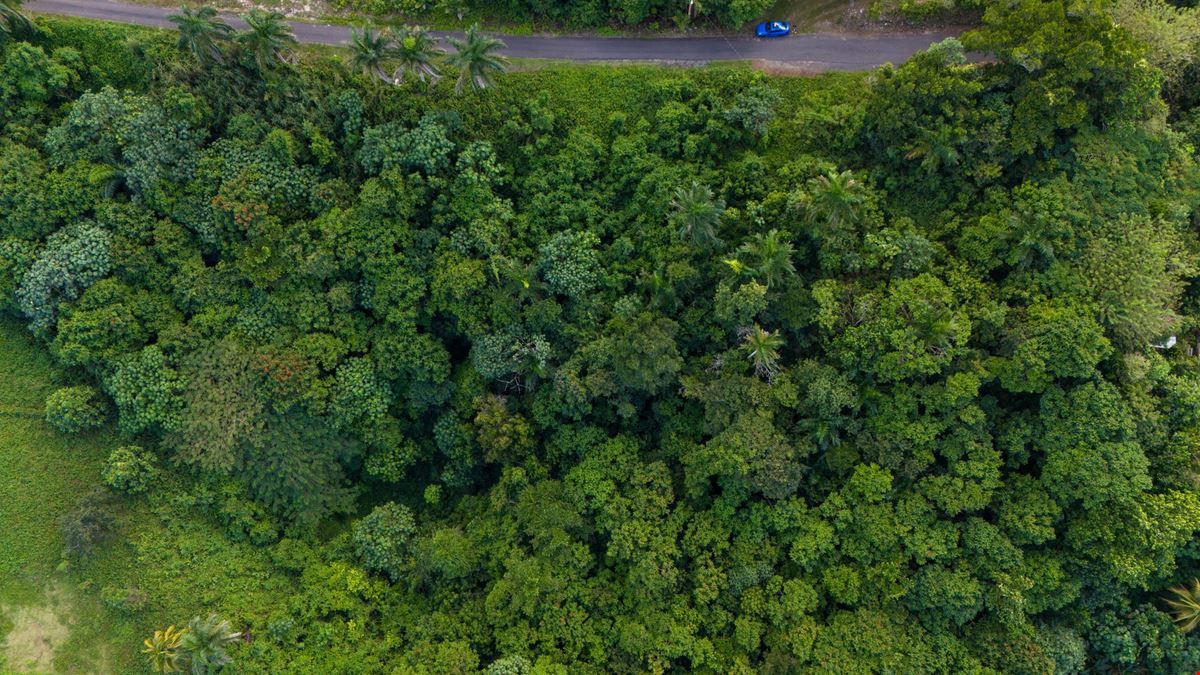 San Sebastian Vacant Land - For Sale