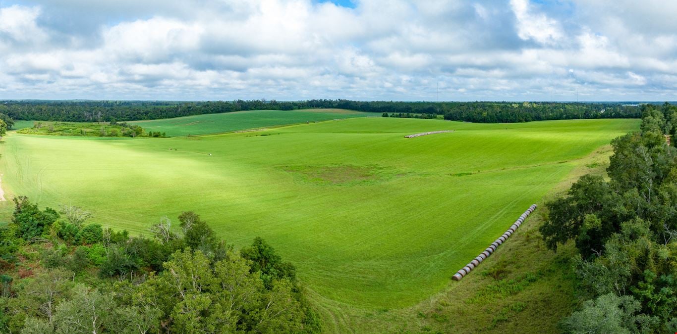 Lake Rachel Ag Land