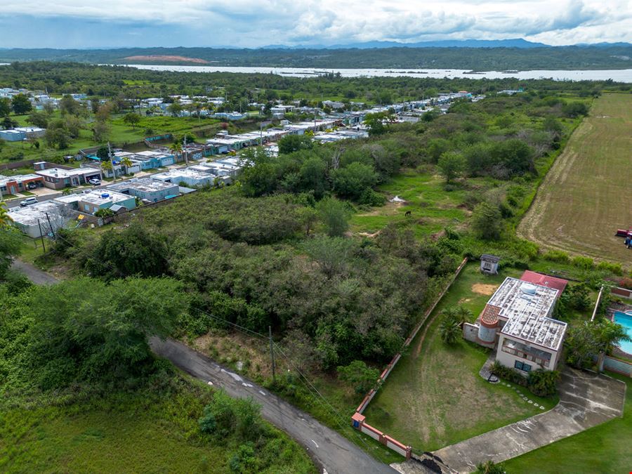 Residential Development Opportunity in Arecibo - 13.65 Acre Land