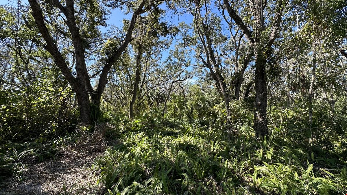 Executive Homesite - 4.19 Acres, Florida