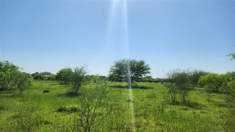Four Adjoining Lots in Pattison