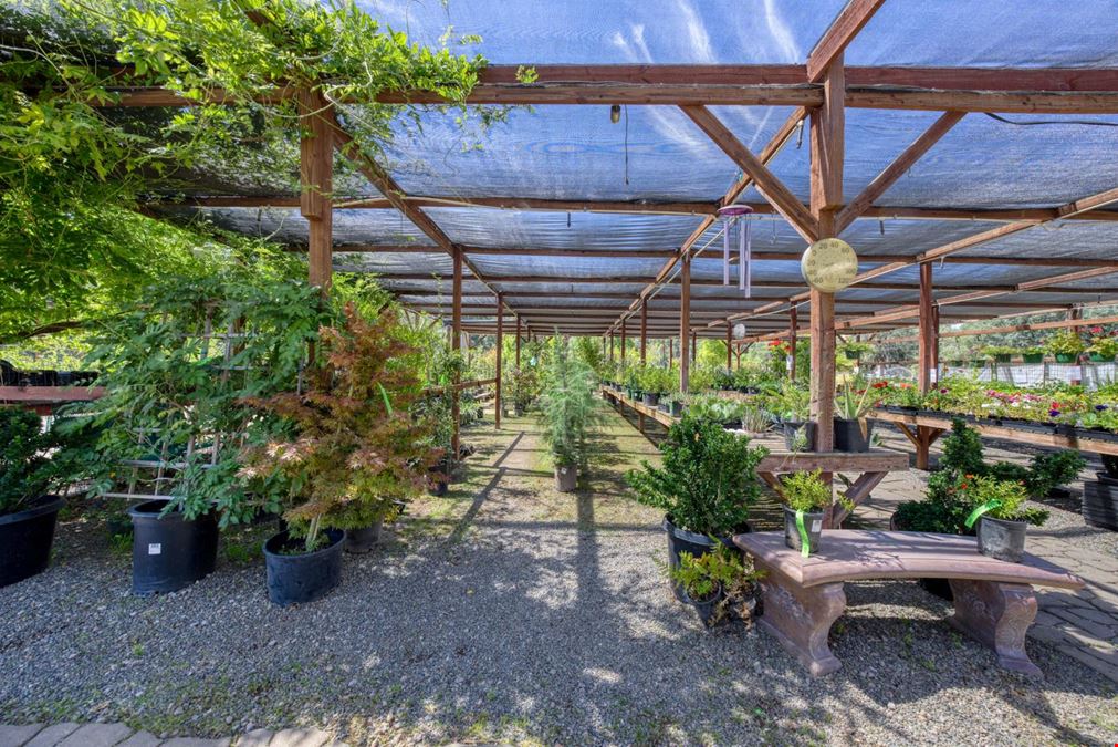Nottingham Nursery