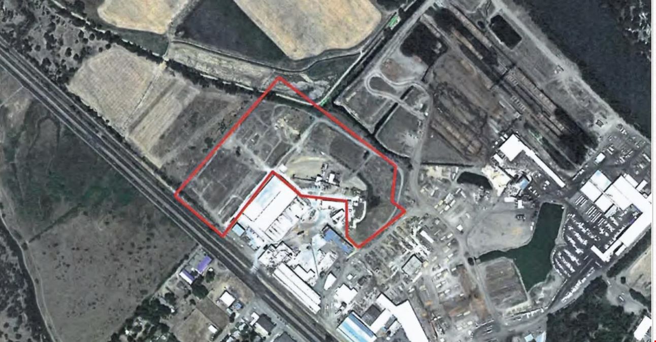 Biomass Co-Generation Plant: Grid Ready / Carbon-Negative Potential