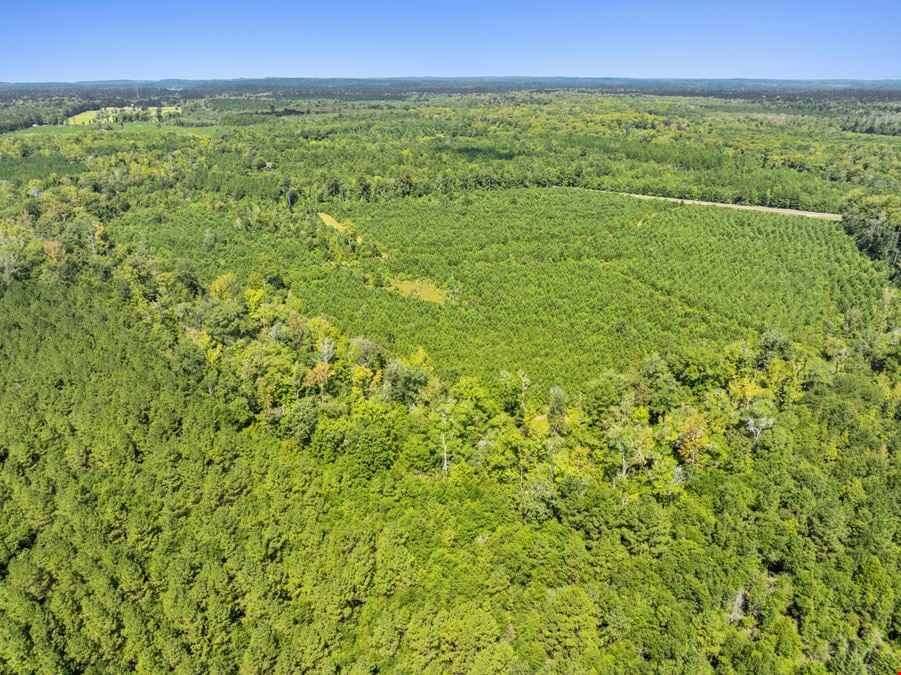 Recreation Land for Sale