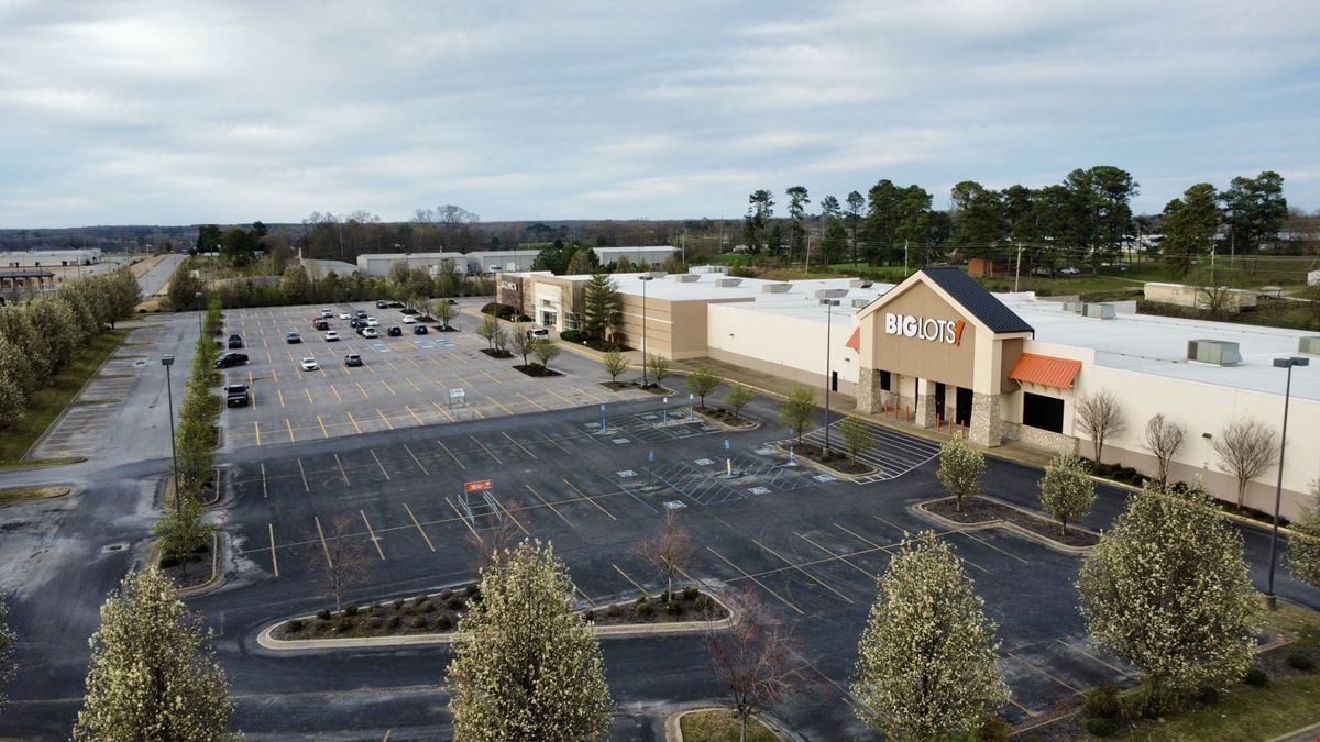 Big Lots - Florence, AL