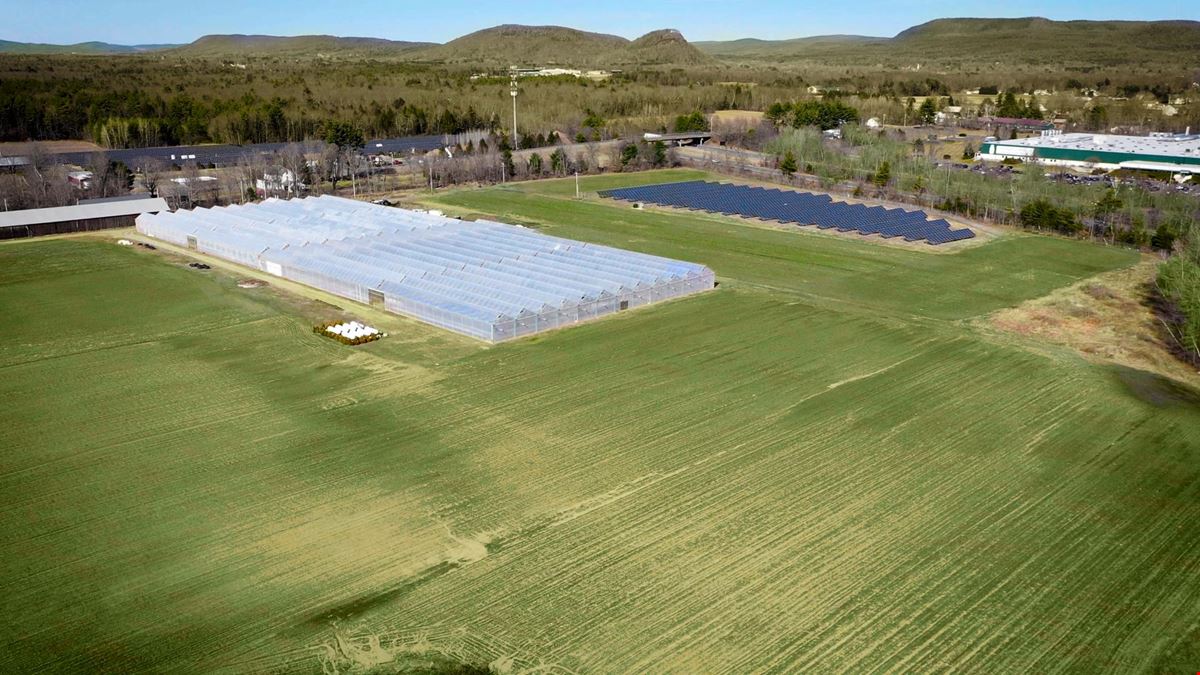 Fully licensed cannabis cultivation facility available for sale/lease via online auction in Whately, MA - Greenhouse 100,000 SF Canopy
