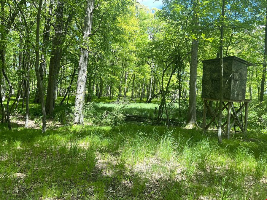 31.4 Acres of Private Recreational Land – Grass Lake/Sharon Township