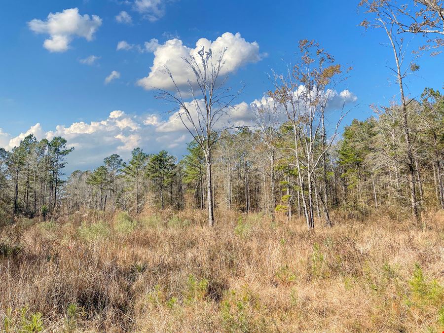 122+ Acres - Recreation / Development Land in Central