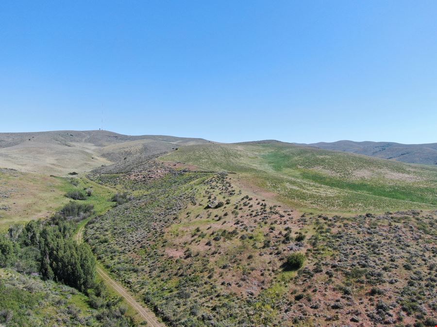 694.8 Acres TBD West Pocatello Creek Road