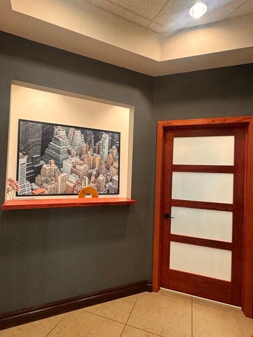 Professional Office