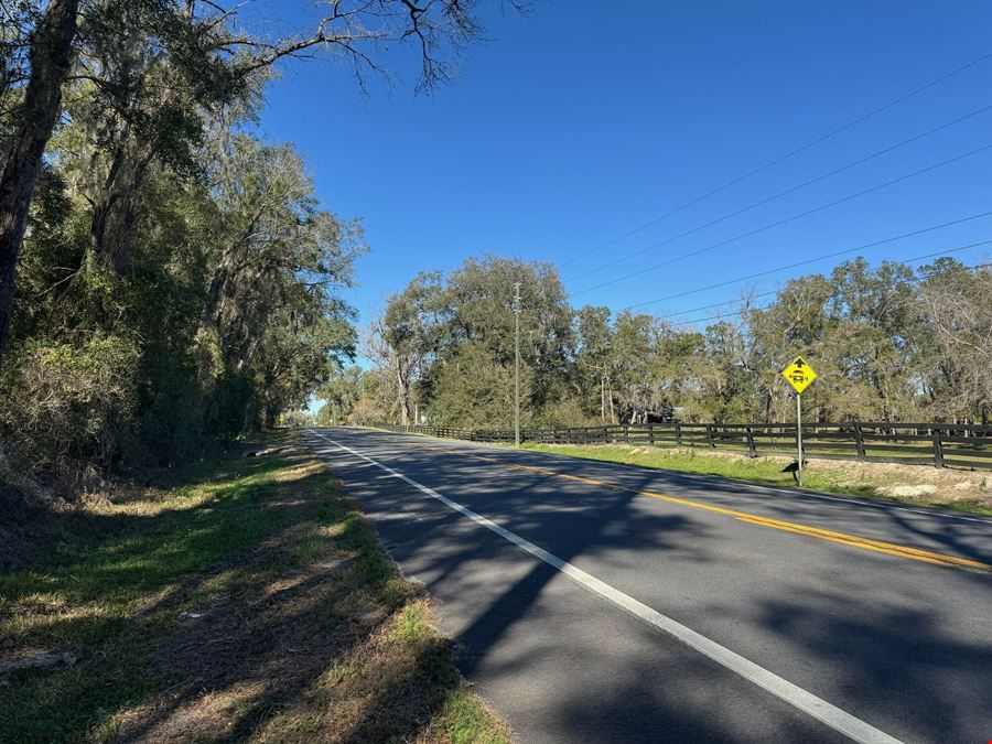 52.6 Acres in Archer