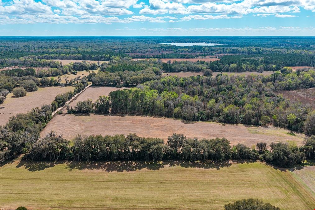Putnam County Farmland