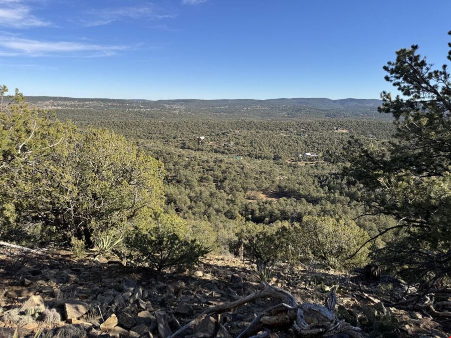 201 Pinon Trail