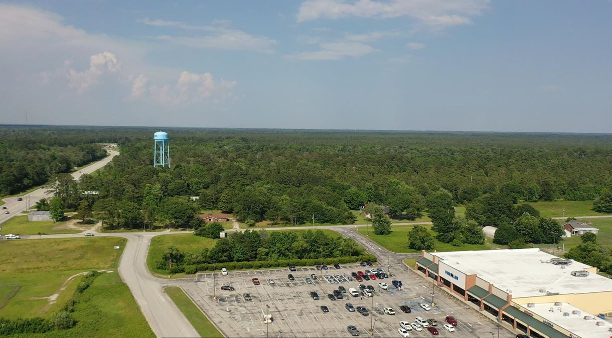 Food Lion Shopping Center Outparcels