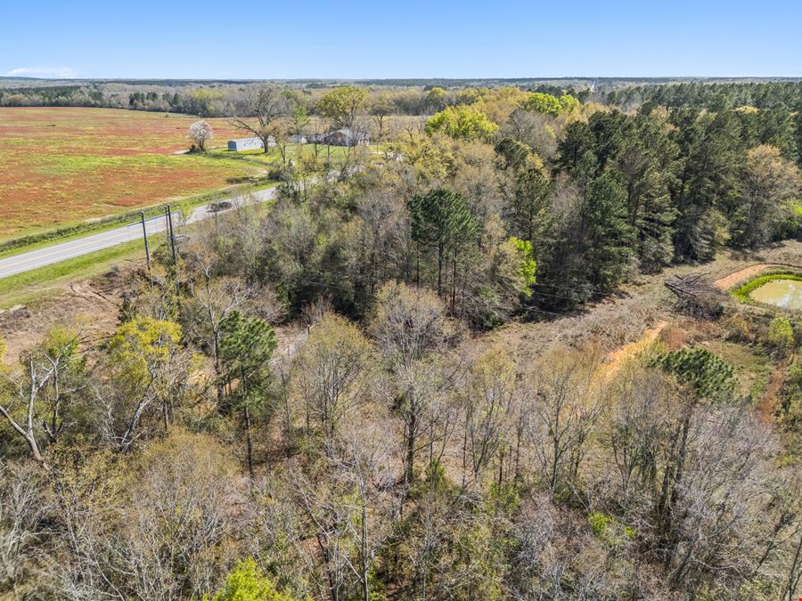 Bonifay SR-79 Frontage Land