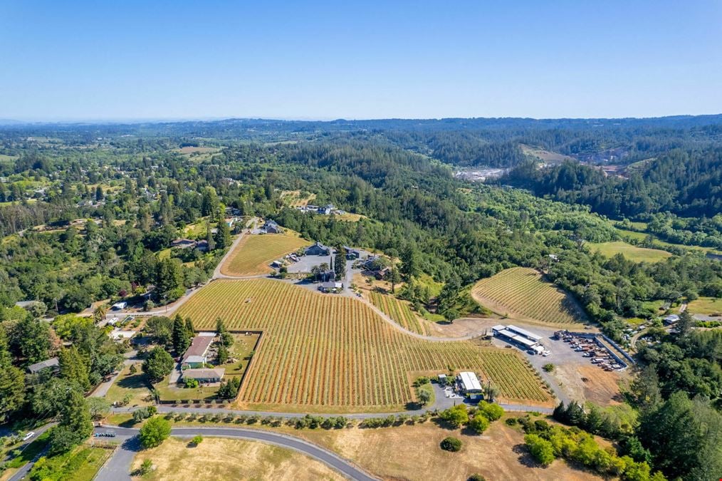 Giusti Ranch and Vineyard