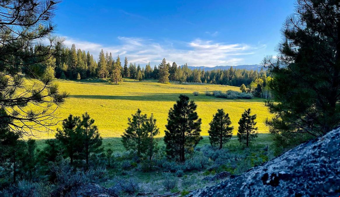 Big Creek Meadows Ranch