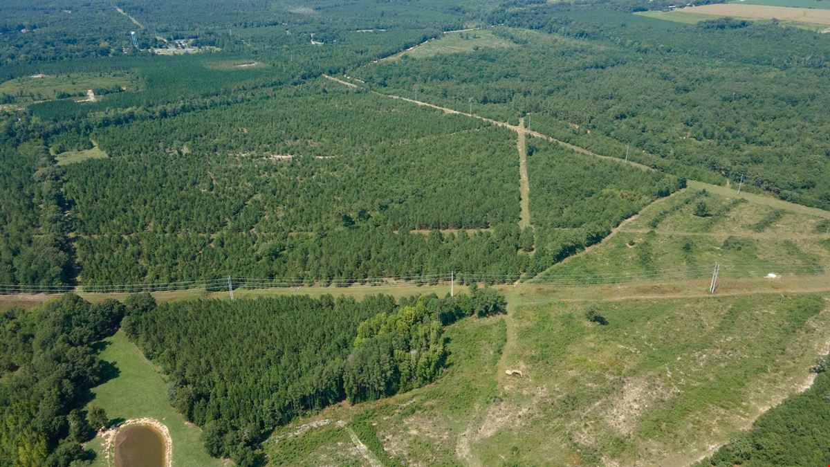 ±34 Acres | Salley, SC