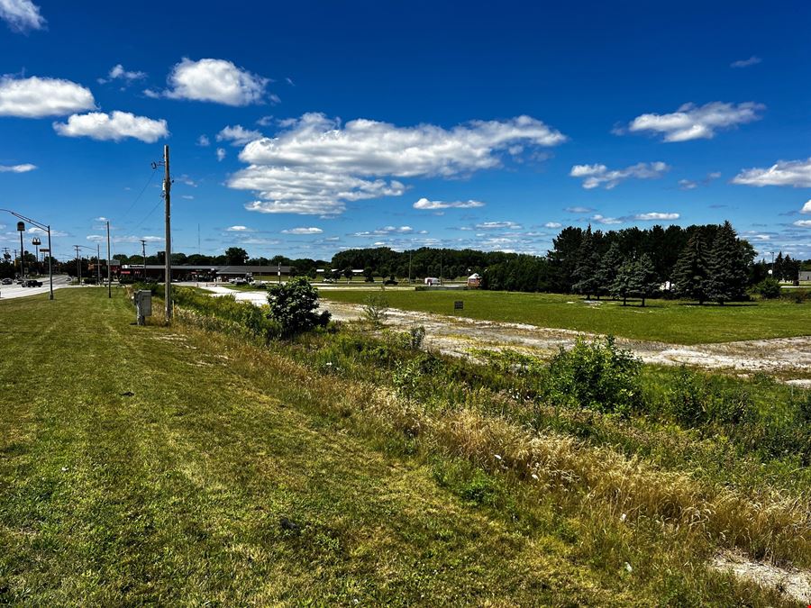 Buena Vista M-46 at I-75  Development Land