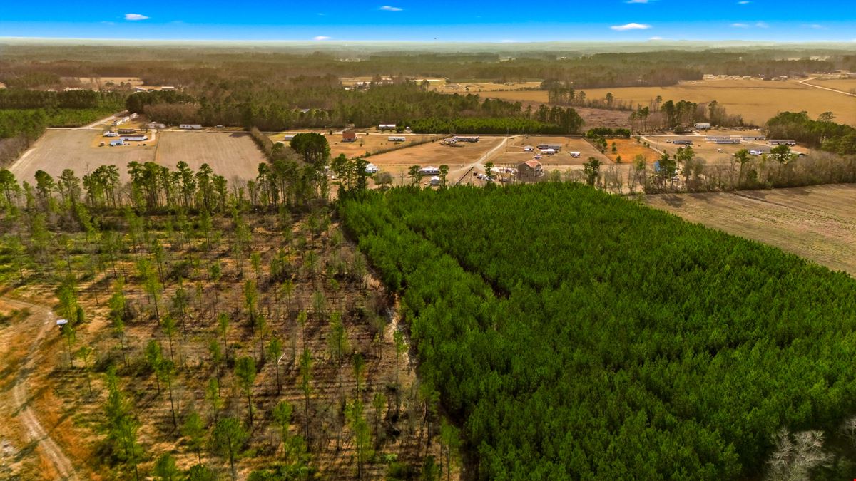 Development Opportunity - 127 Acres, Loris, SC