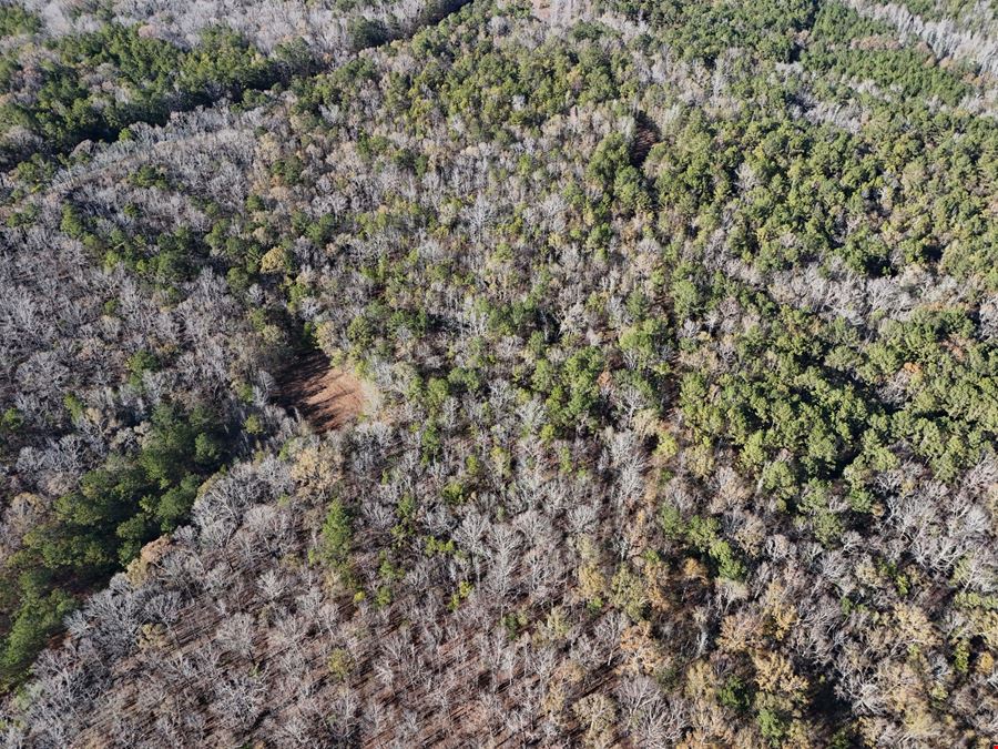 Noble Tract