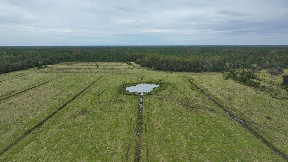 Tomoka Farms Road 411 ± Acres