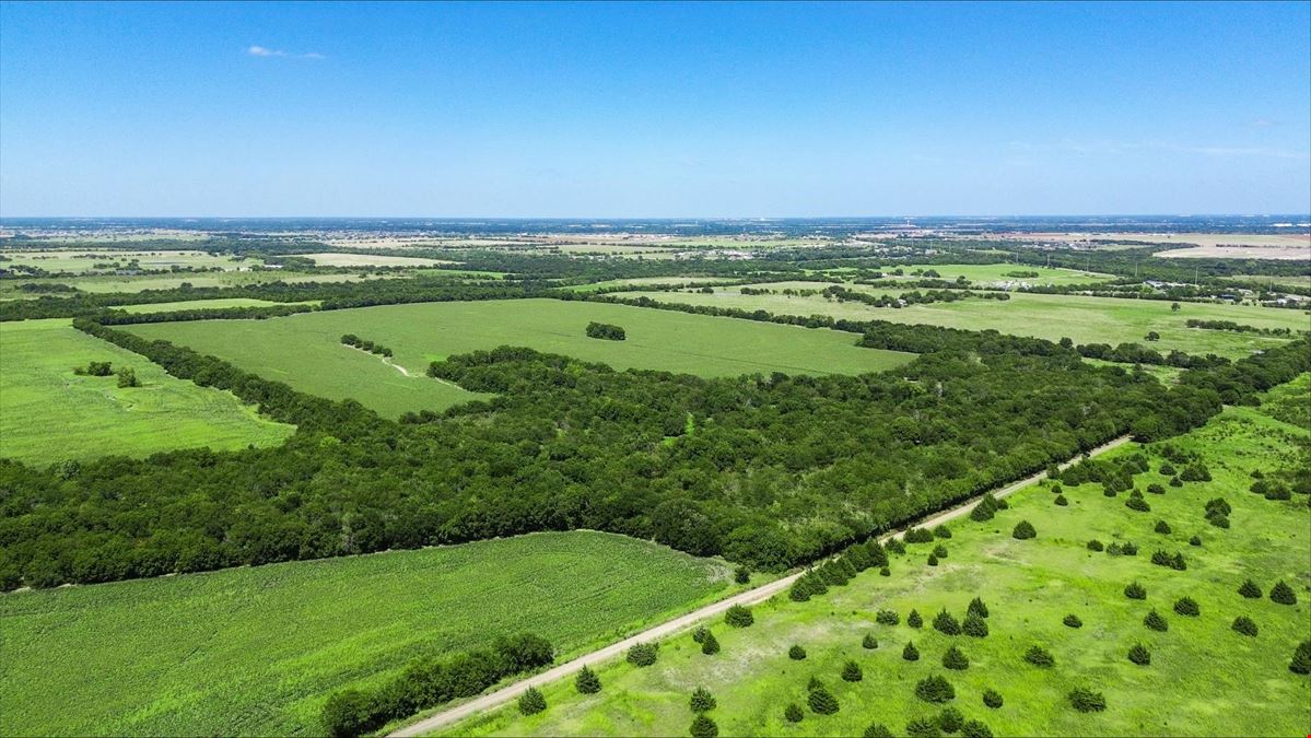 110 Acres for Sale in Royse City