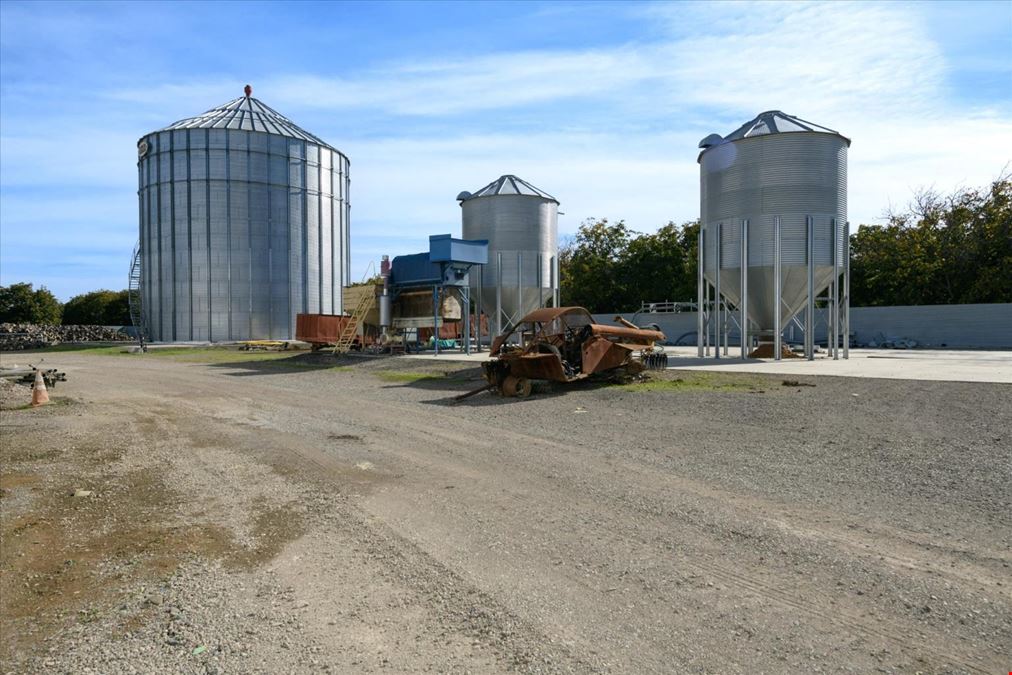 Organic Walnut Orchard & Processing Facility
