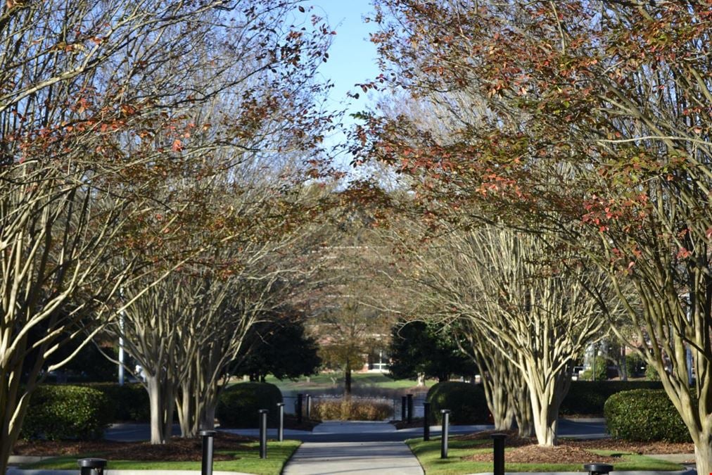 Quadrangle II, III, IV & V