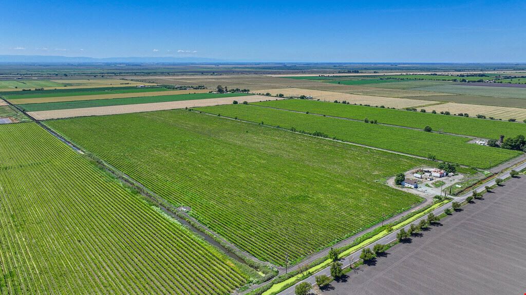 Clarksburg Vineyard Land