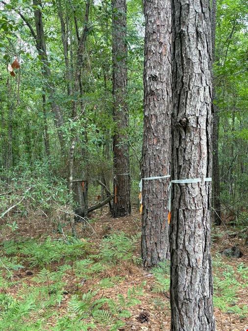 Land for Sale - Aaron Ln