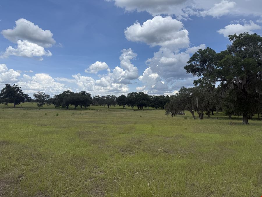 29± Acre Marion County Ranchette