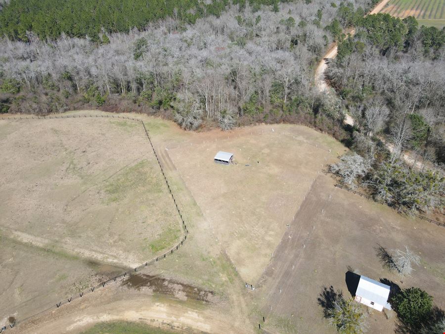 Union Hill Farm
