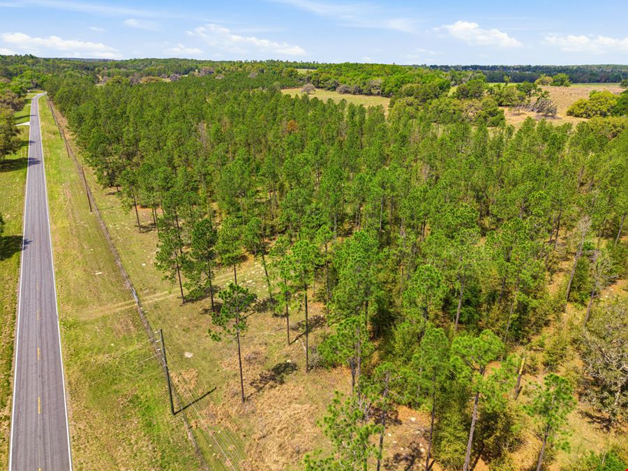 Spring Lake Reserve Ranch