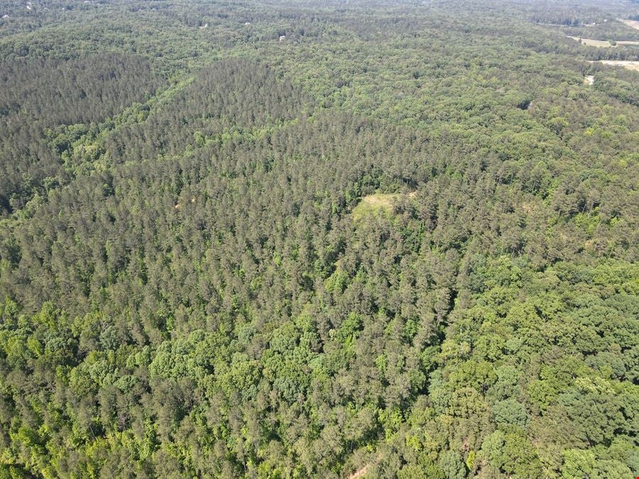 Chattahoochee Meadows - 713.08 Acres