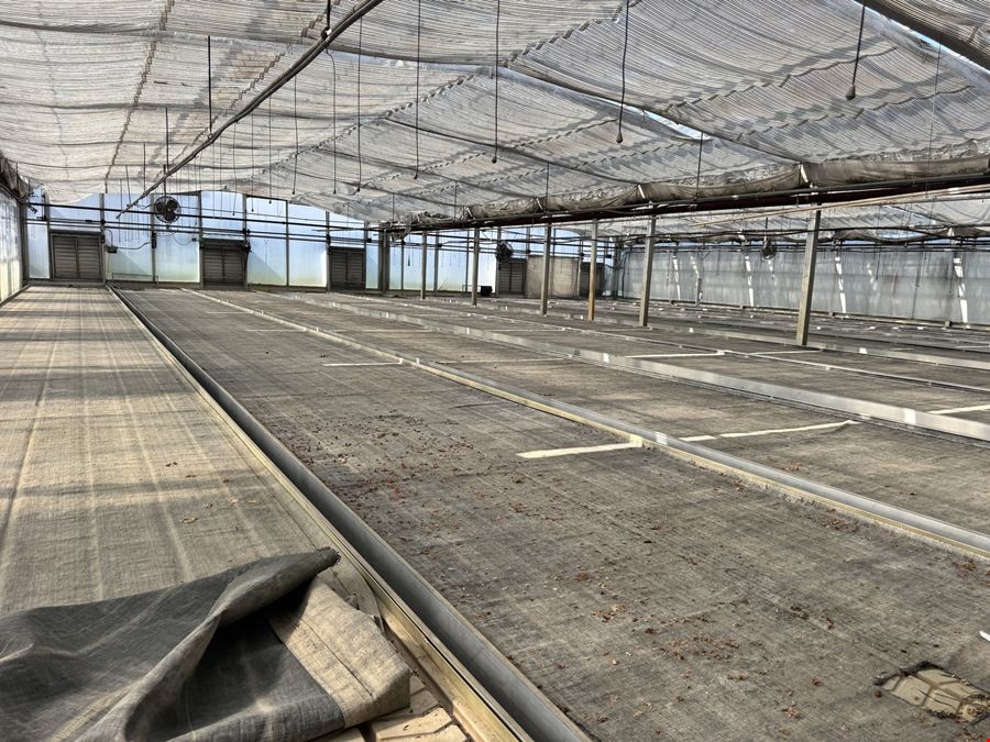 Turn Key Greenhouse Operation