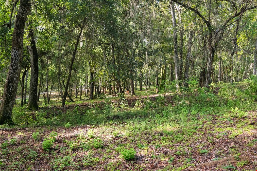 Brooksville 12 Acre Tract