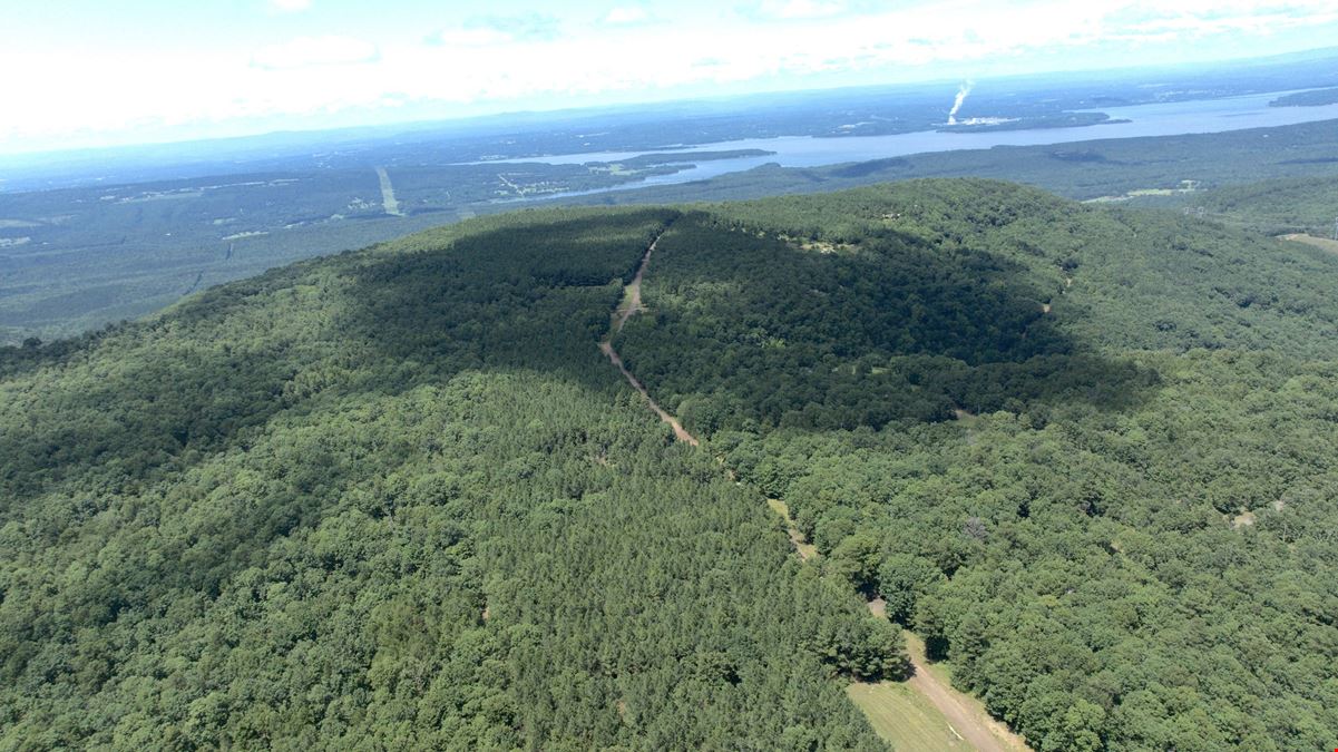 Spring Mountain Airstrip Lot