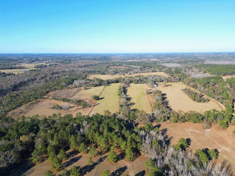 Secluded 240-Acre Cattle Farm in NE Holmes County, FL with Creek, Hunting Opportunities & Nearby Amenities