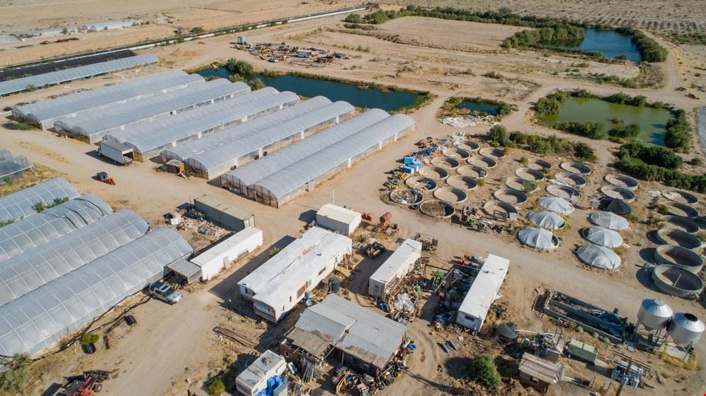 Global Organic Farm, Inc.