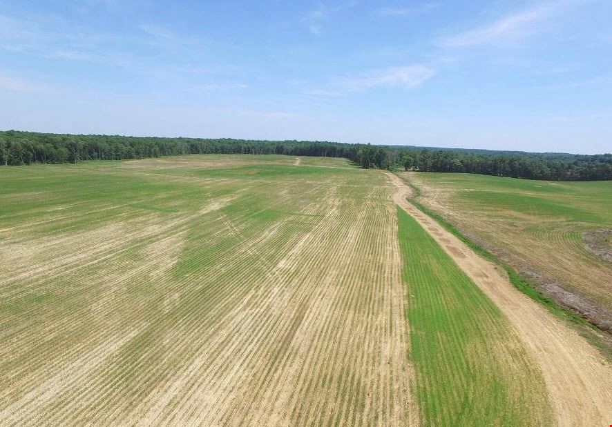 531 Acres of Agricultural Land in Warrenton