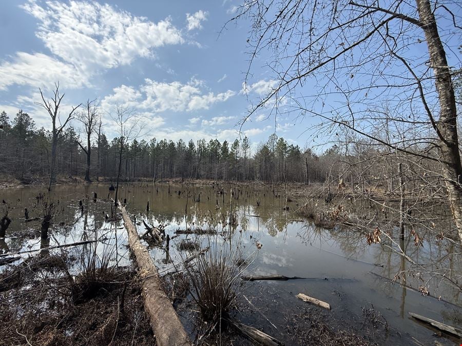 South Fourche Hunting, Fishing & Timber