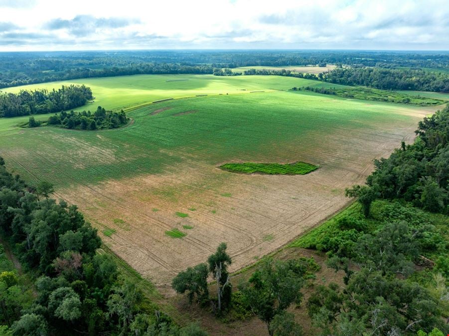 Lake Rachel Ag Land
